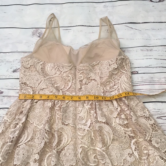 Adrianna Papell Champagne Lace Dress - Picture 6 of 7